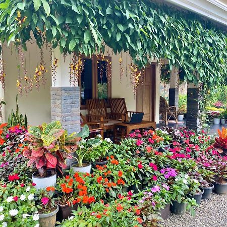 Flower Valley Plantation Homestay Munnar Ngoại thất bức ảnh