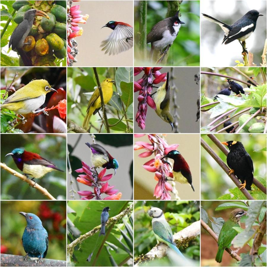 Flower Valley Plantation Homestay Munnar Ngoại thất bức ảnh