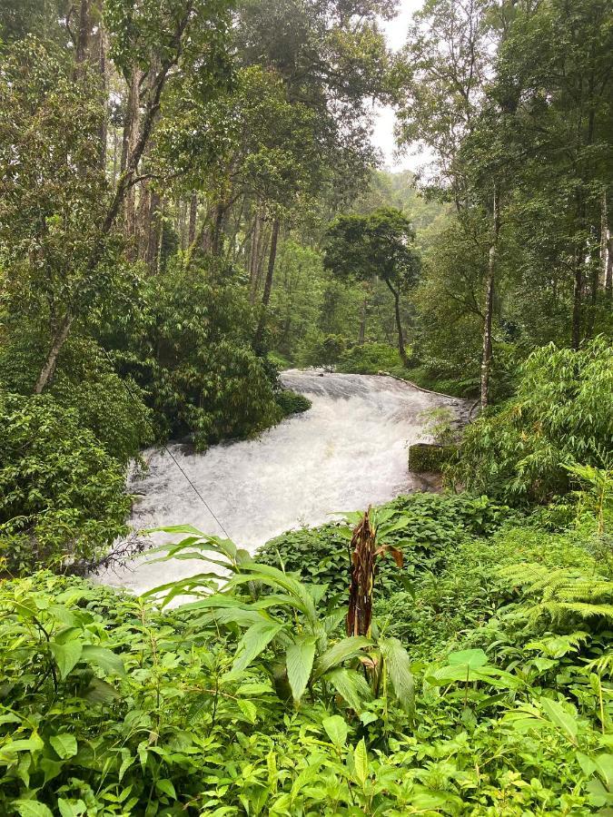 Flower Valley Plantation Homestay Munnar Ngoại thất bức ảnh